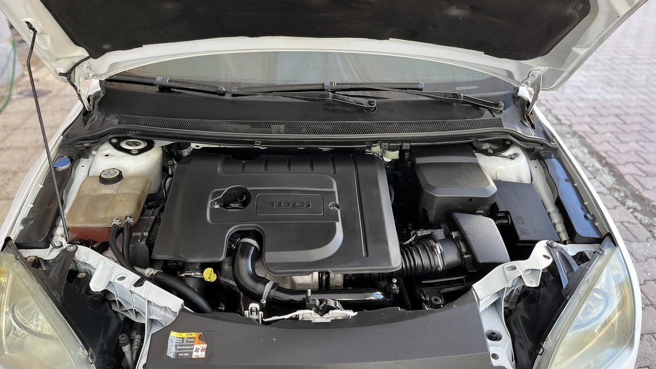 Focus 1.5 TDCI Motor