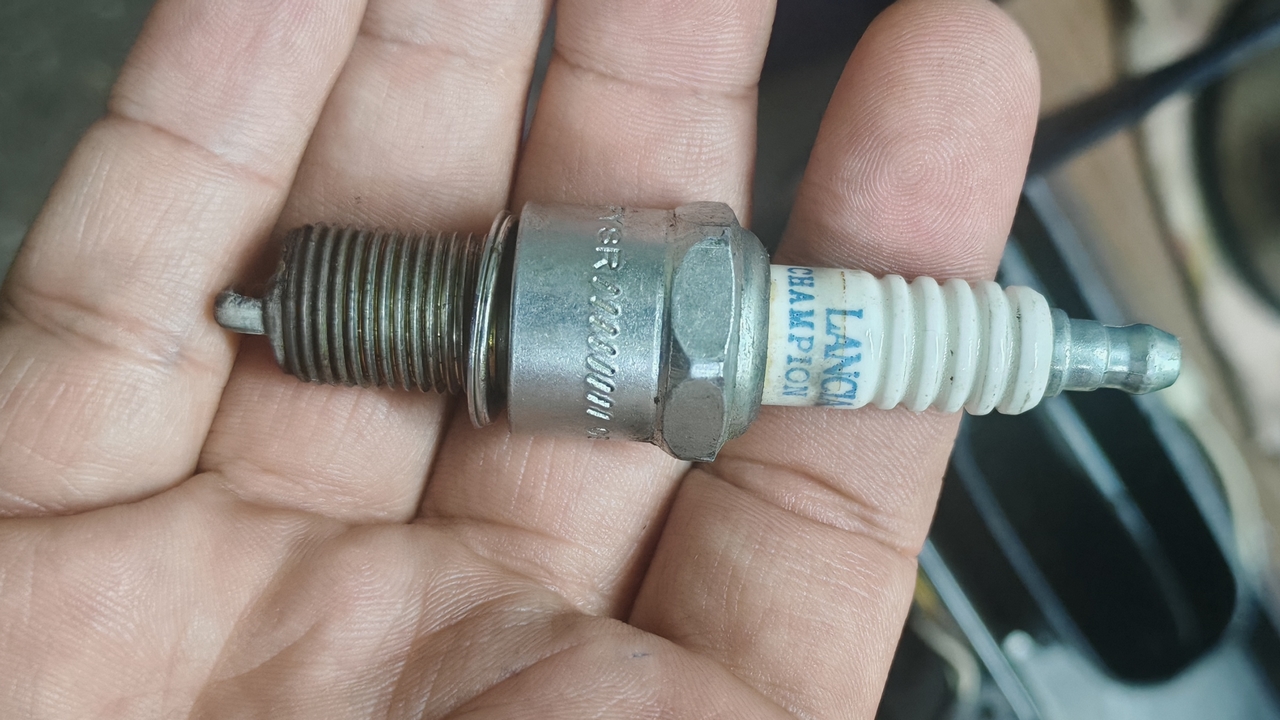 Champion Marka Buji